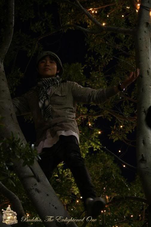 Photobucket Image Hosting