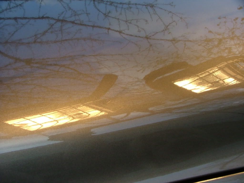 DSCF1531.jpg