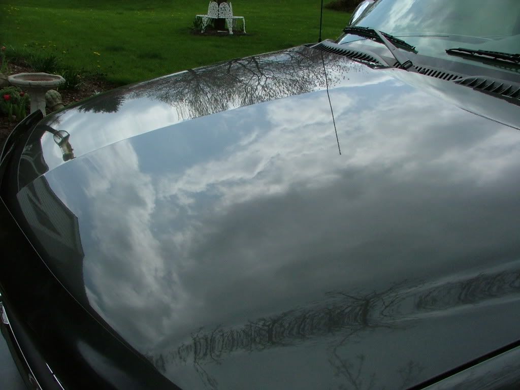 DSCF1534.jpg