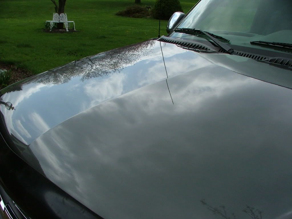DSCF1535.jpg