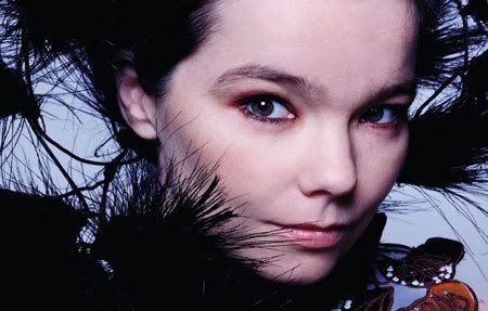 bjork_interview.jpg