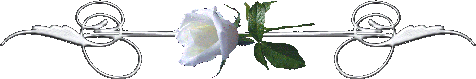 whiterosedivider.gif White Rose picture by animal_guardian