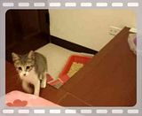 圖檔