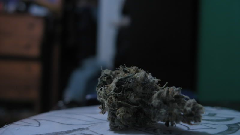 Posted Image