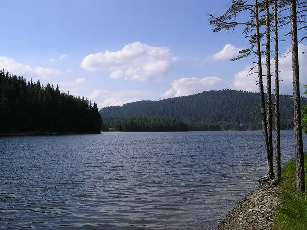 Качена снимка