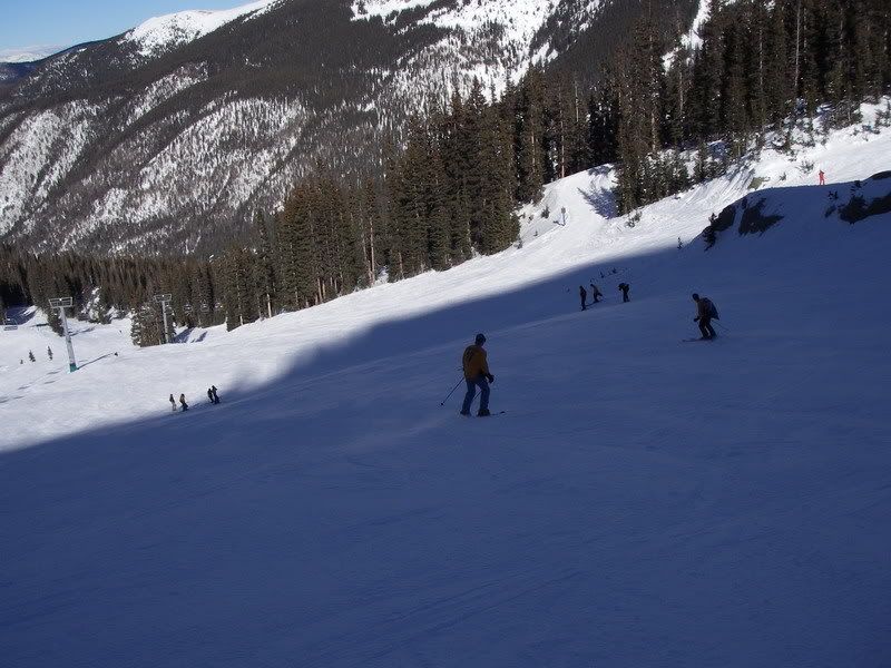 AustraliaDayParty10.jpg Australia Day Skiing Down Mountain image by stixsy