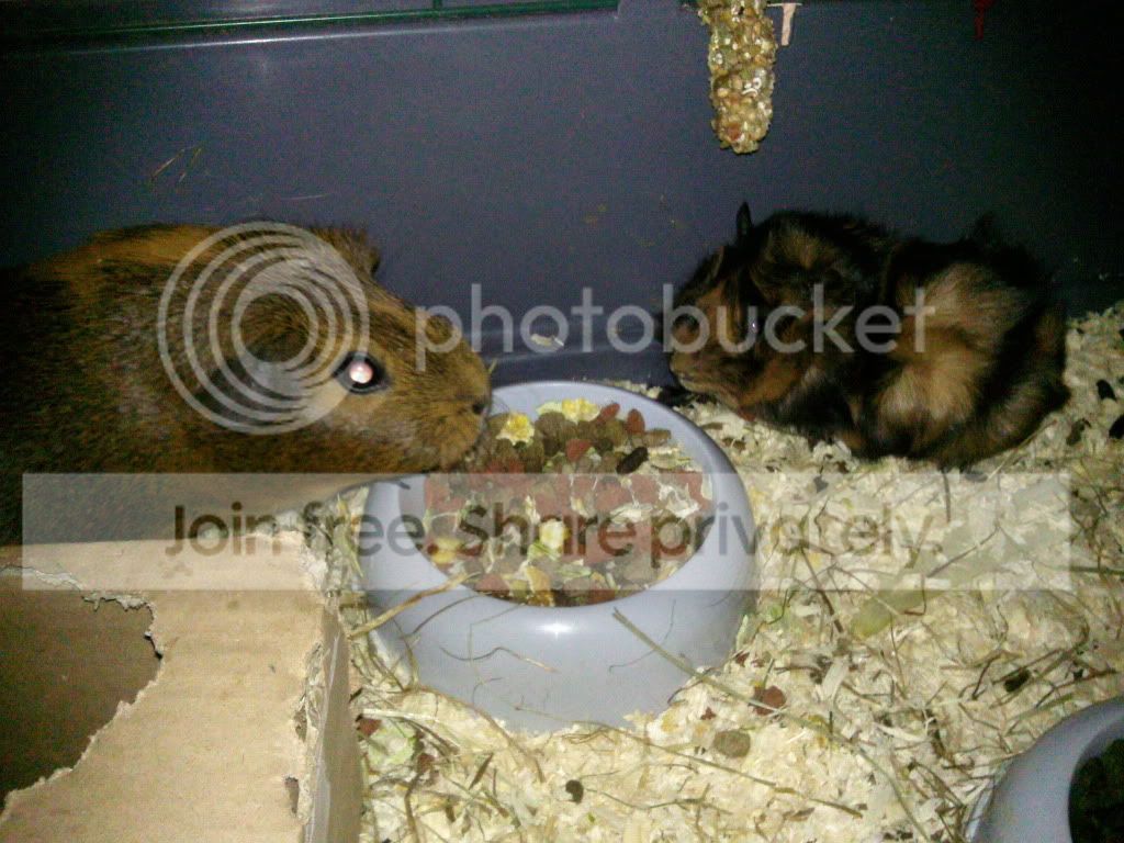 Photo0013.jpg