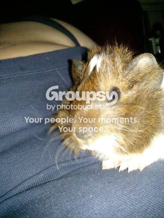 mokypo.jpg