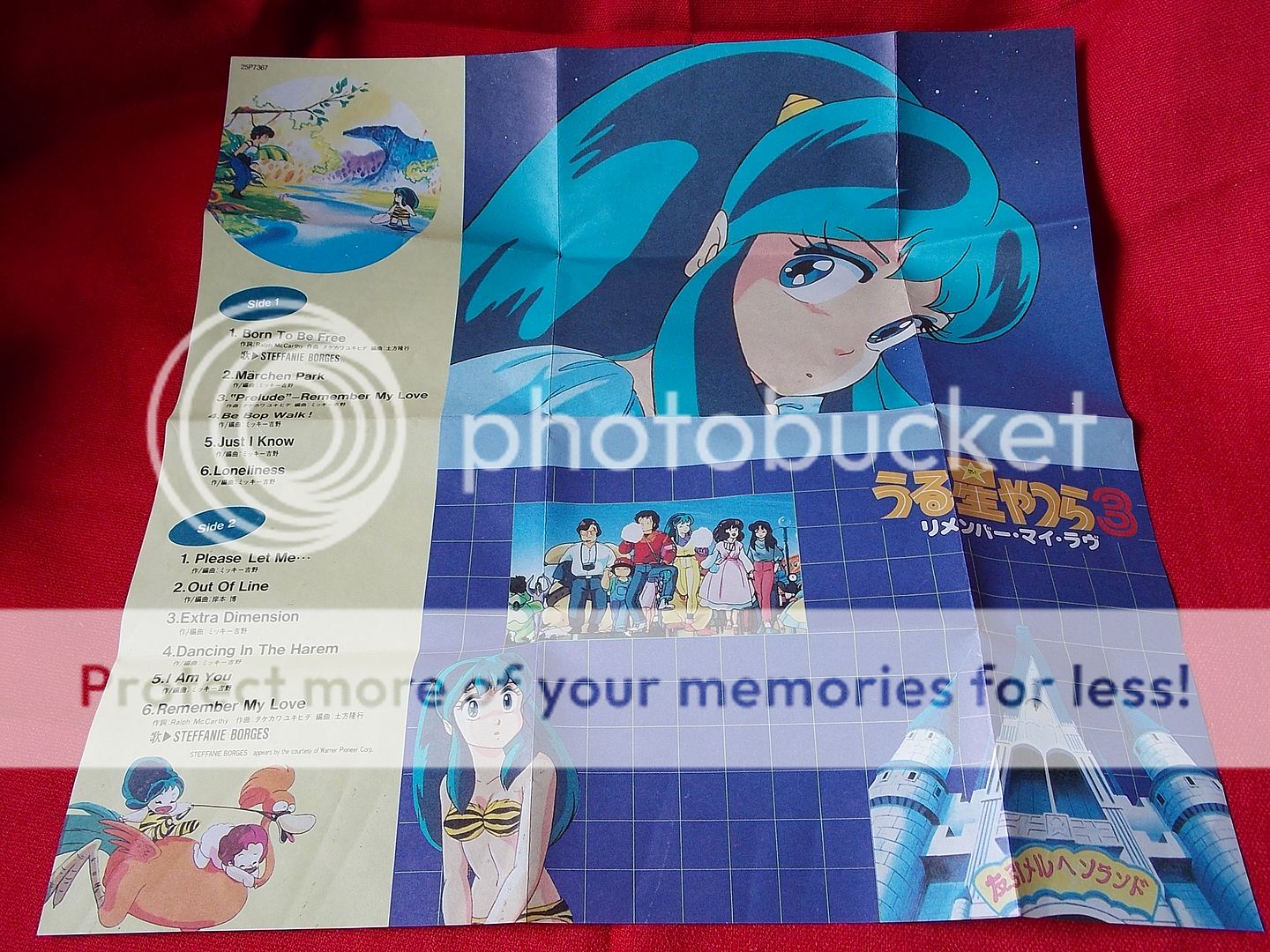  photo DSCN7474_zpszqgpske3.jpg