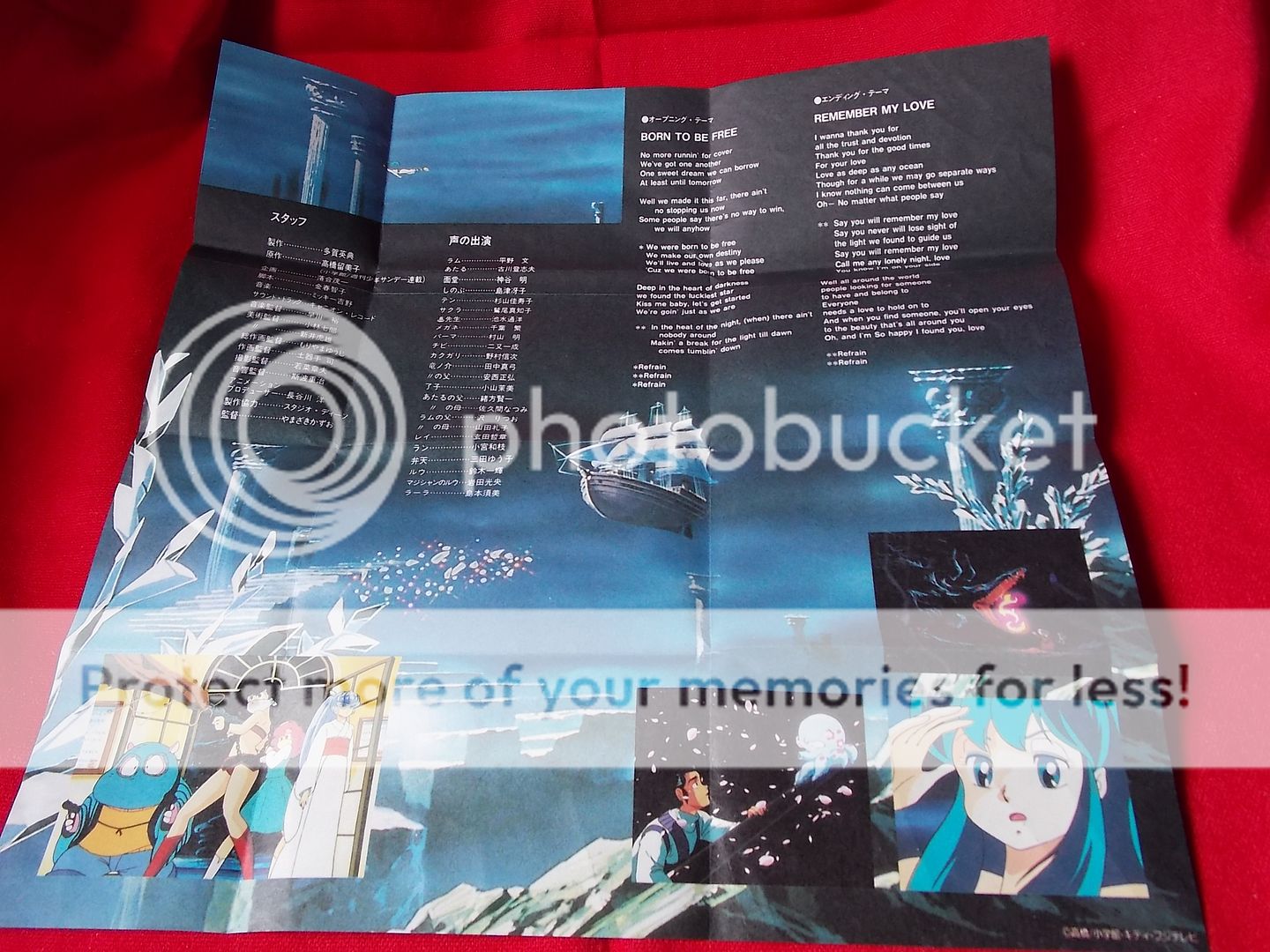  photo DSCN7475_zpsv78pwkuj.jpg