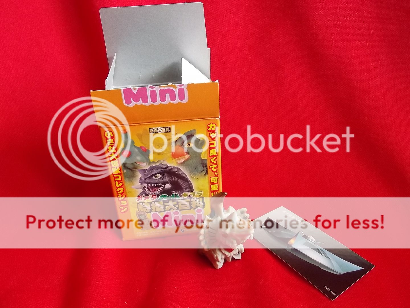  photo DSCN6686_zpstofpuqps.jpg