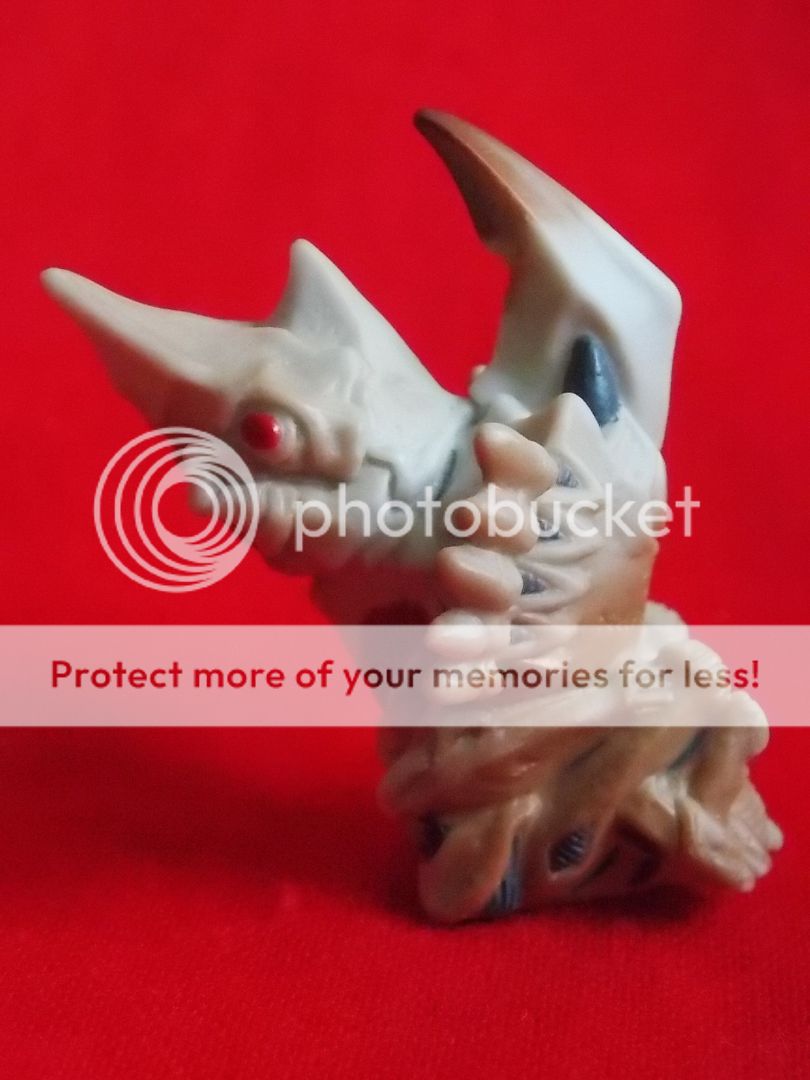  photo DSCN6691_zpstzoxzoas.jpg