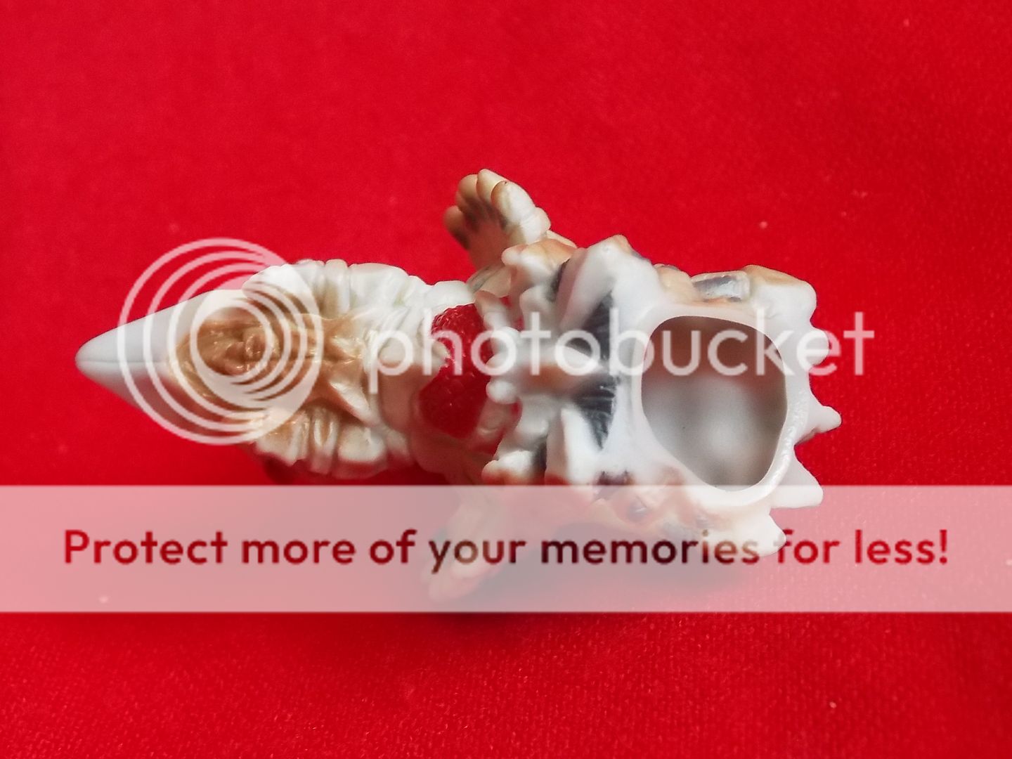  photo DSCN6692_zpskaefedlh.jpg