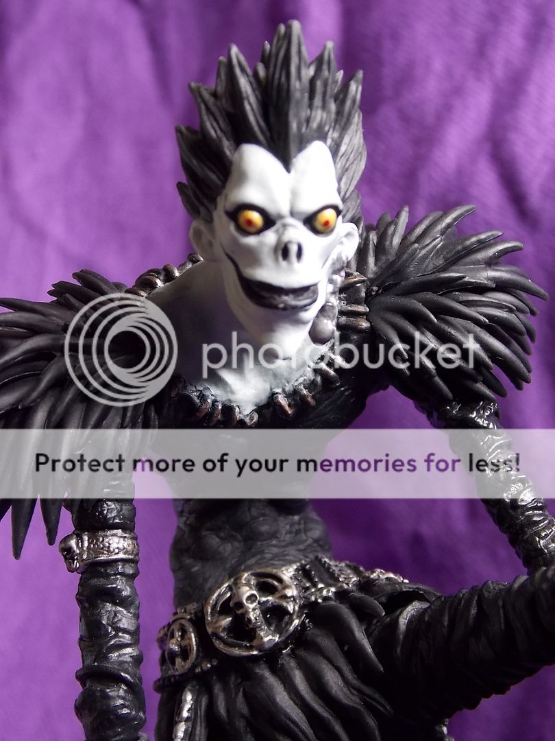  photo DSCN4167_zps1sc902hl.jpg