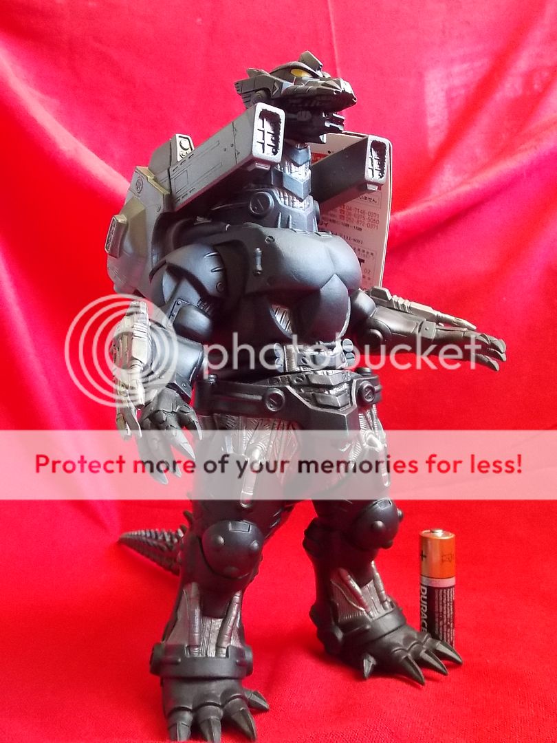  photo DSCN8893_zpszfkclgcm.jpg