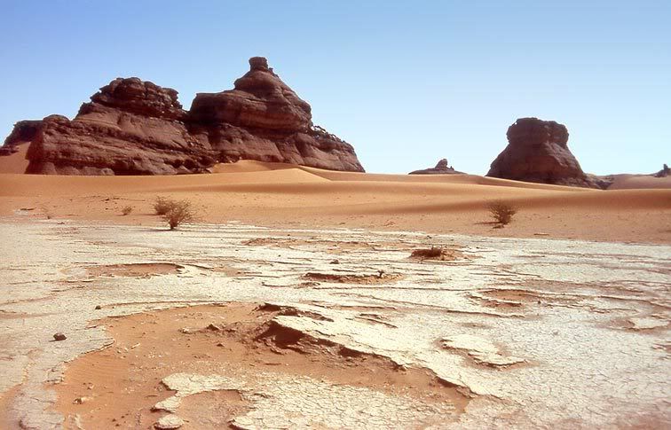 desert2nf9.jpg