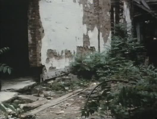 vlcsnap-00002.jpg