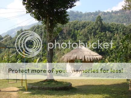 Coconut-Grove-Mizoram