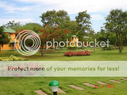 Photo Sharing and Video Hosting at Photobucket